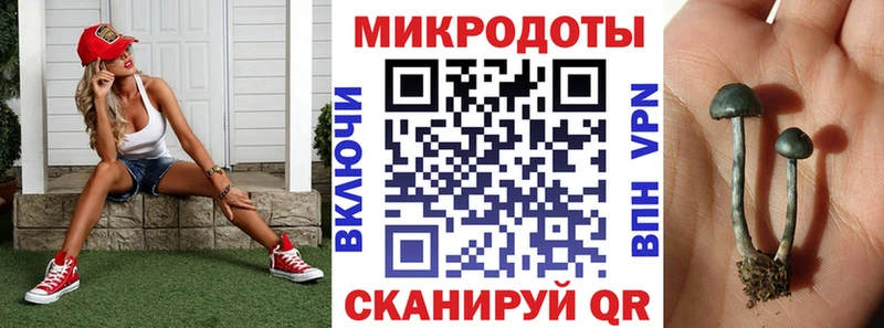 Галлюциногенные грибы GOLDEN TEACHER Рузаевка