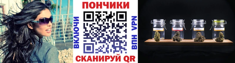 Бошки марихуана индика  продажа наркотиков  Рузаевка 